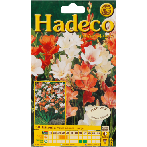 Hadeco Tritonia Mixed Bulbs 50 Pack