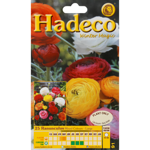 Hadeco Ranunculus Mixed Regular Bulbs 25 Pack