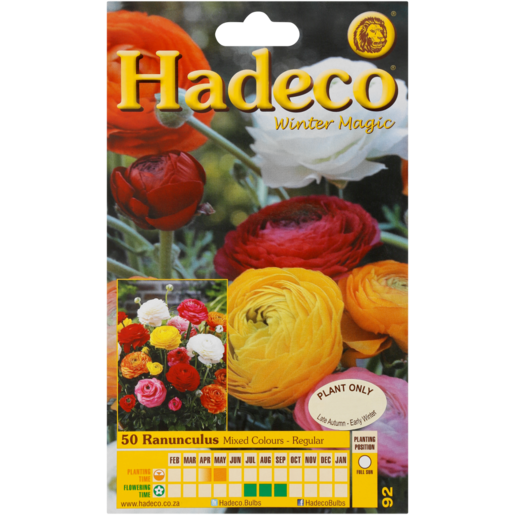 Hadeco Mixed Ranunculus Bulbs 50 Pack