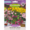 Kirchhoffs Summer Flower Seeds Scatter Pack (Assorted Item - Supplied at Random)